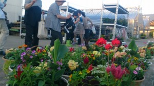 10410692_814907545253980_7497463056360651973_n