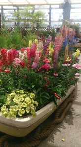 10672089_818920571519344_1837479470169291713_n