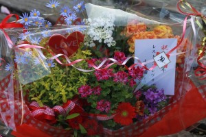 10929172_809695265775208_7322058278109630411_o