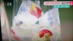 11012481_808736219204446_8330874353025063910_n