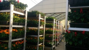 11012943_811777848900283_4534235218649476951_n