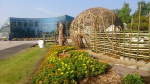 11037281_818920614852673_6490955472764023492_n