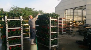 11059965_811777858900282_6159541566549909185_n