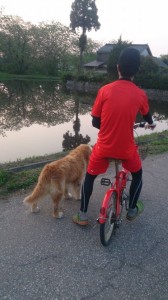 11091253_807517539326314_652407911_n