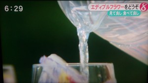 11109203_808736195871115_1508817907696224969_n