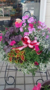 11117865_814950221916379_1586550118_n