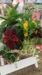 11121904_819493701462031_1822795065_n