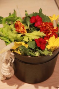 11143264_809695472441854_8259548364274221046_n