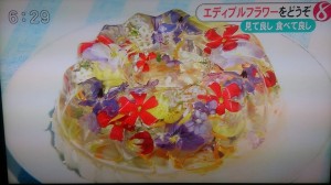 11149308_808736232537778_2382799018523707271_n