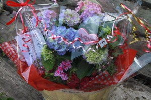 11194452_809695259108542_2529390447956180628_o