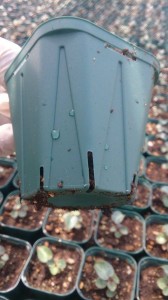 11195539_804688696275865_1247424751_n