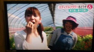 11196347_808735985871136_6621747640140332240_n