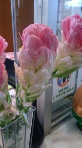 11209627_810220352389366_4426273139255328605_n