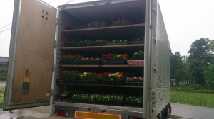 11218603_813772368700831_5072632909247379743_n