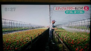 11245801_808736142537787_2602387548794341610_n