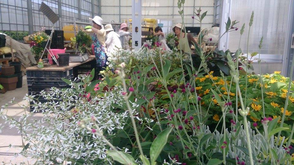 JOY☆ガーデニング隊