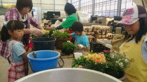 11287338_815606001850801_1238769150_n