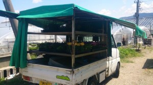 11292777_814950188583049_1424954814_n