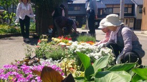 11292835_814950198583048_77914846_n