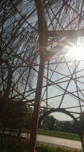 11329910_818920631519338_5790274728326916754_n