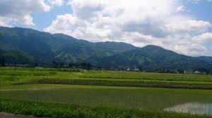 11349914_814950168583051_1423439372_n