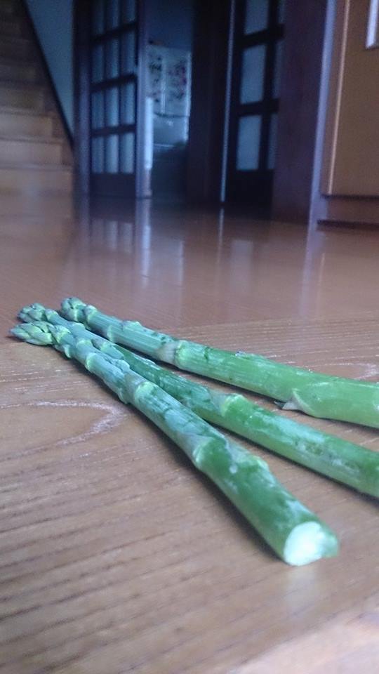 アスパラが歩いてる？