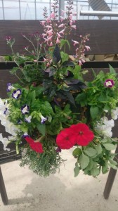 11350292_819493698128698_1288699564_n