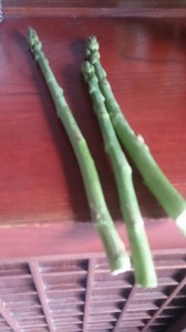 11351893_816866928391375_409384696_n