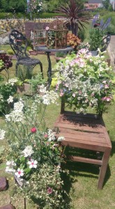 11390024_818920654852669_3113811400771104149_n