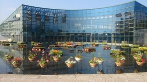 11390323_818920541519347_8218022865760878972_n