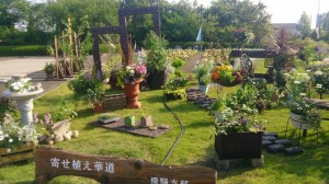 11390339_818920641519337_7251085417027910391_n