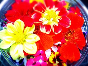 13395_776028299182602_8361911055708082899_n