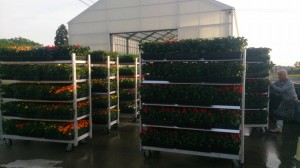 20116_811777812233620_1901578753924570338_n