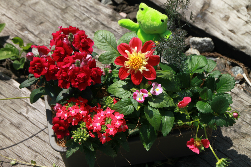 「自治体特選サイトなんと」より