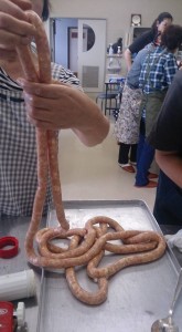 10968343_831559016922166_5225314769224459326_n