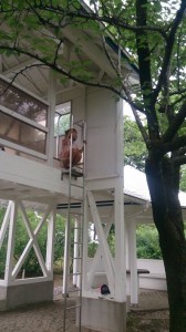 11289876_830380160373385_1883918936_n