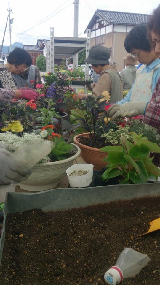 地元のサロンで寄せ植え教室♪