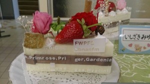 11349892_830379247040143_197577394_n