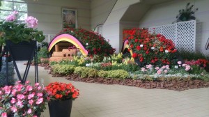 11350066_830378917040176_2029939569_n