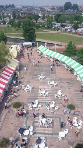 11355573_828228987255169_601005745_n