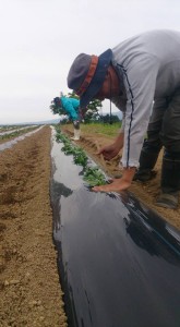 11377388_822845947793473_7210738266797019453_n