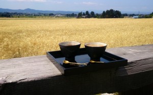 11411856_824312890980112_4912320062206183629_o