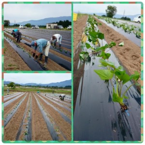 11412411_844629785630264_811385785538195855_n