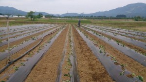 11414707_823053801106021_1892145250_n