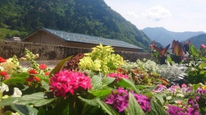 11418319_825681164176618_1531348573_n