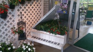 11650683_830378933706841_1543052533_n