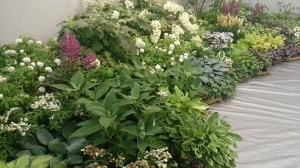 11652233_830379050373496_257733899_n