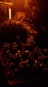 11653391_834758173268917_446623405_n