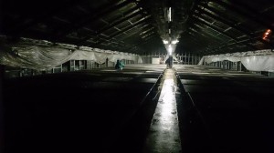 11696433_834114836666584_1489202085_n