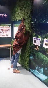 11049556_844208028990598_2274213238687516614_n